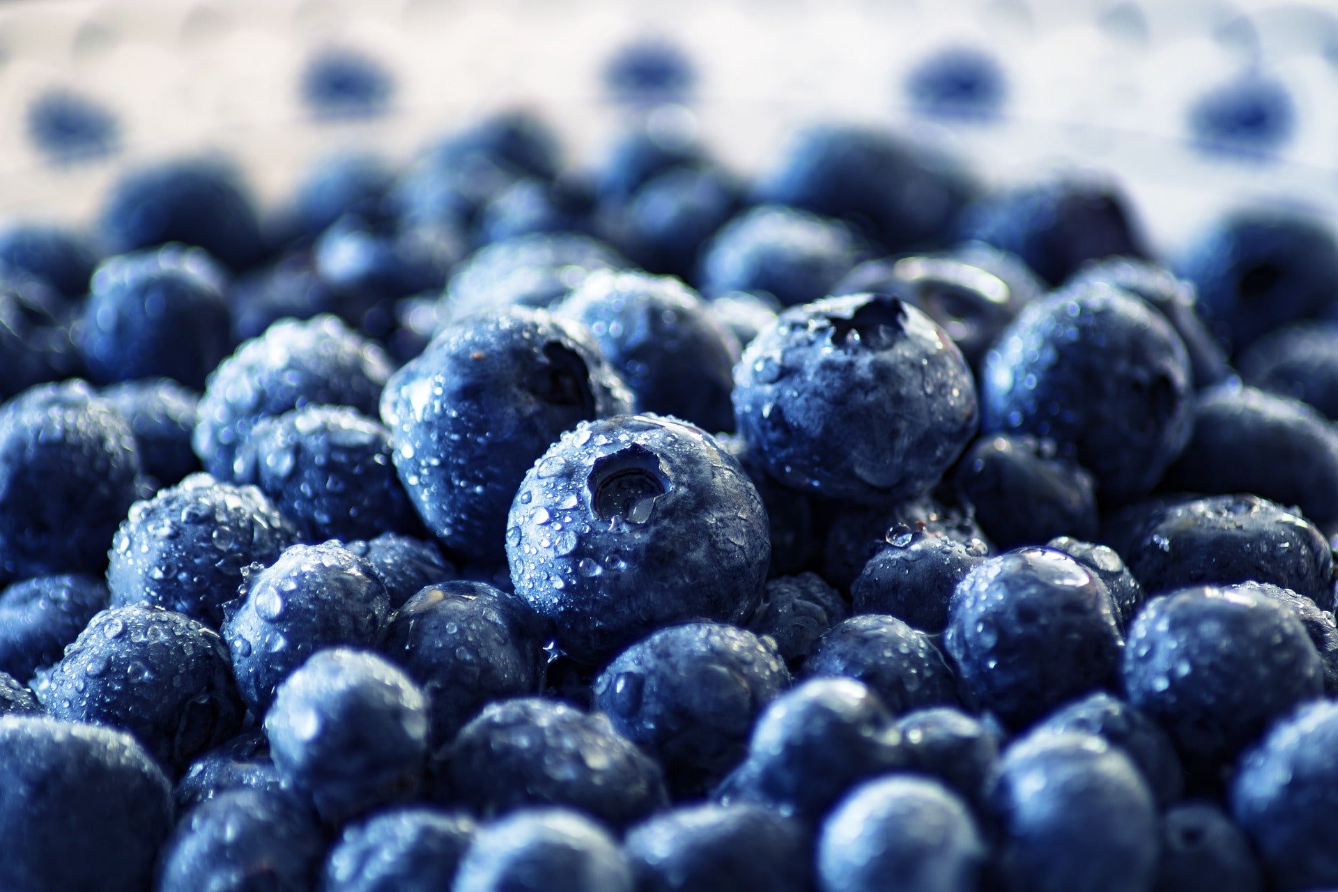 Blaubeeren
